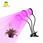 12H Plant Grow Lamp