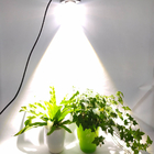 Greenhouse Full Spectrum 50W COB Hydroponic Flower Plant