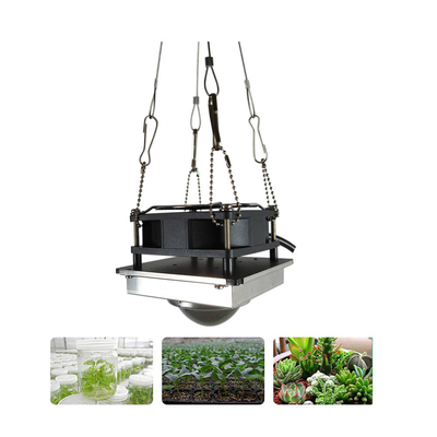 Greenhouse Full Spectrum 50W COB Hydroponic Flower Plant