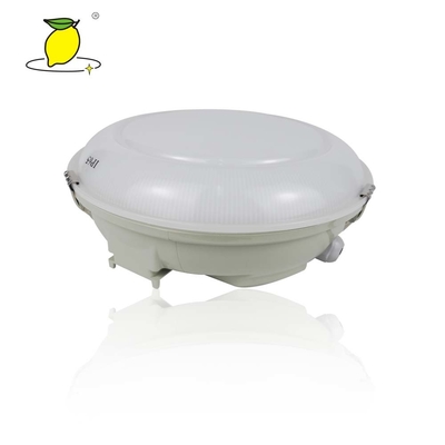 Waterproof LED IP65 Ceiling Mounted Emergency Lights