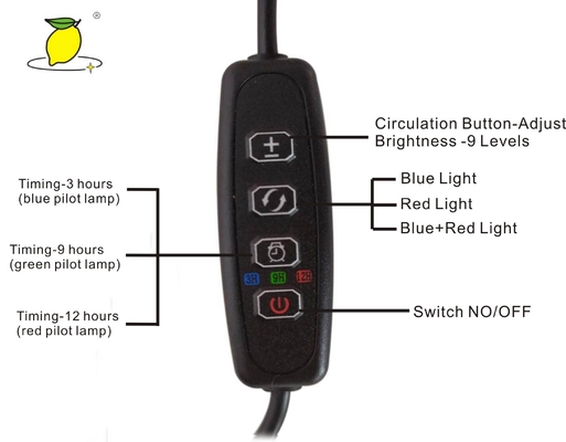 CE 40 Degree 3 Heads 465nm 5V USB Led Plant Lamps