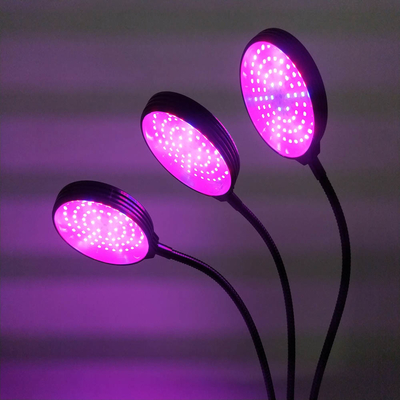 12H Plant Grow Lamp