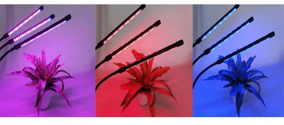 60 Pcs  LED Seedling Hydroponic Full Spectrum Phyto Lamp