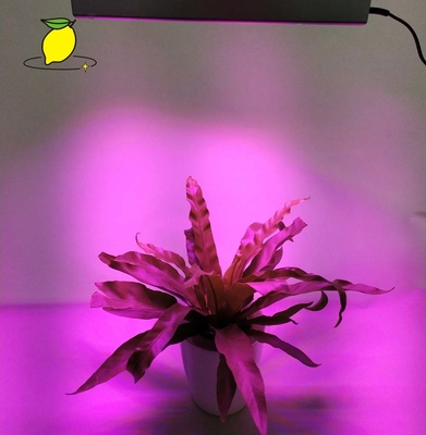 Full Spectrum 45W 85V Indoor Plant Grow Light