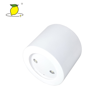 White Surface Mounted 2w Emergency LED Downlight IC Control